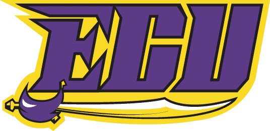 East Carolina Pirates 1999-2013 Wordmark Logo v3 DIY iron on transfer (heat transfer)